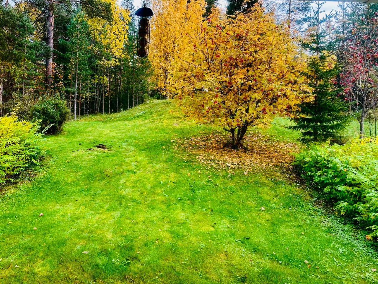 Holiday Home, Entire Home Рованиеми Экстерьер фото